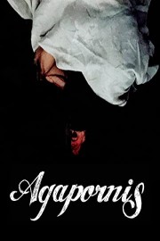 Agapornis
