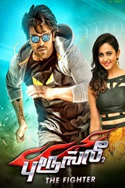 Bruce Lee 2 The Fighter poster