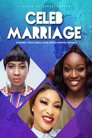 Celeb Marriage