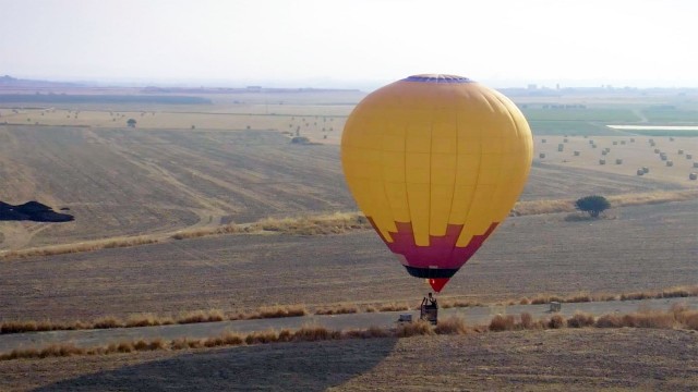 Watch S.O.S. Survive or Sacrifice Online