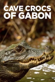 Cave Crocs of Gabon