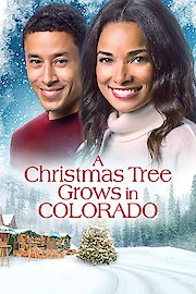 A Christmas Tree Grows in Colorado poster