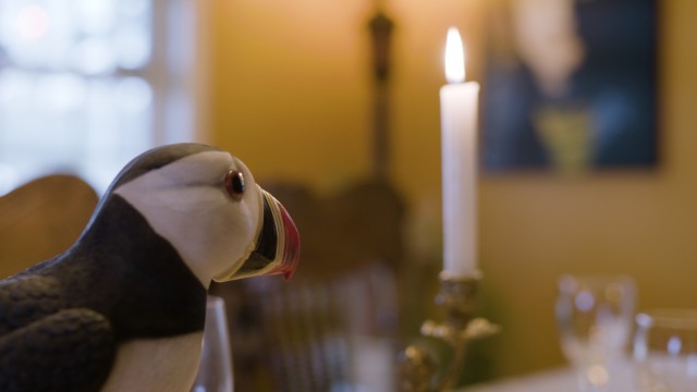 Watch Puffins: Shorts Collection 1 Online