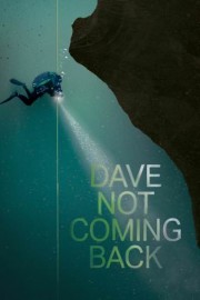Dave Not Coming Back poster