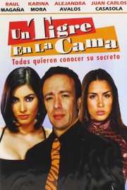 Un tigre en la cama poster
