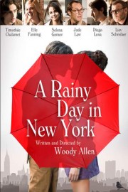 A Rainy Day in New York poster