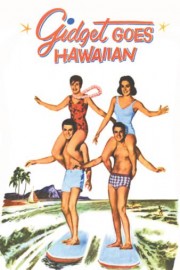 Gidget Goes Hawaiian poster