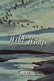 Wild Wings poster