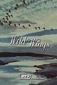 Wild Wings