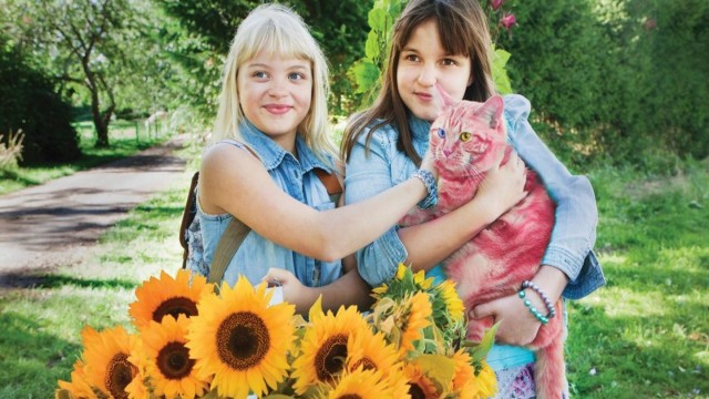 Watch Jill, Joy and the Mysterious Stranger Online