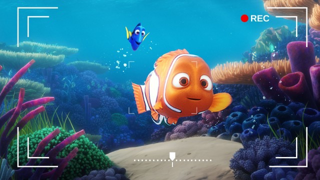 Watch Dory's Reef Cam Online