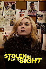 Stolen In Plain Sight poster