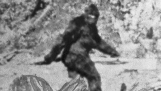 Watch Bigfoot the Legend Is Real Online