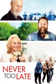 Never Too Late poster