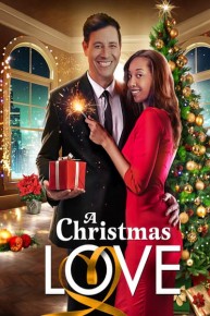 A Christmas Love