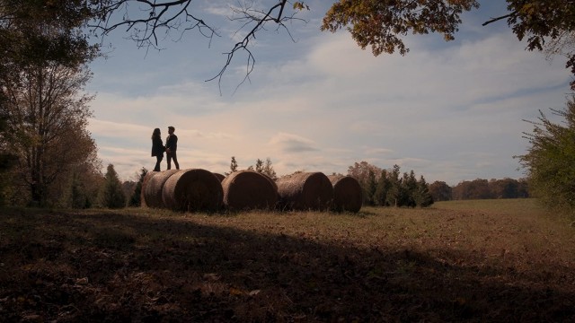 Watch A Christmas Tree Love Story Online