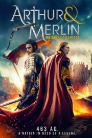 Arthur & Merlin: Knights of Camelot poster