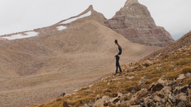 Watch Public Grouse Online