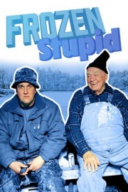 Frozen Stupid poster