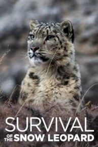 Survival of the Snow Leopard