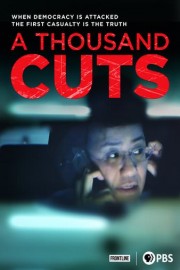A Thousand Cuts poster