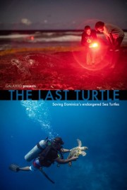 The Last Turtle poster