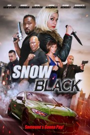 Snow Black poster