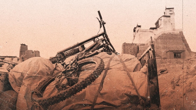 Watch Accomplice Online