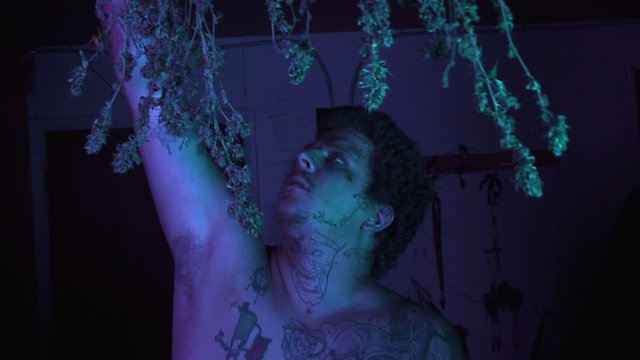 Watch Crestone Online