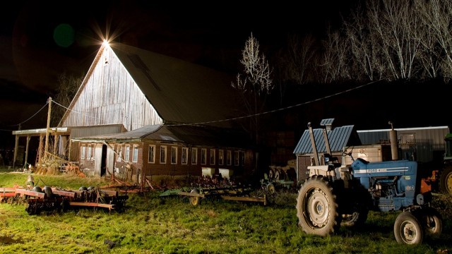 Watch The Pig Farm Online