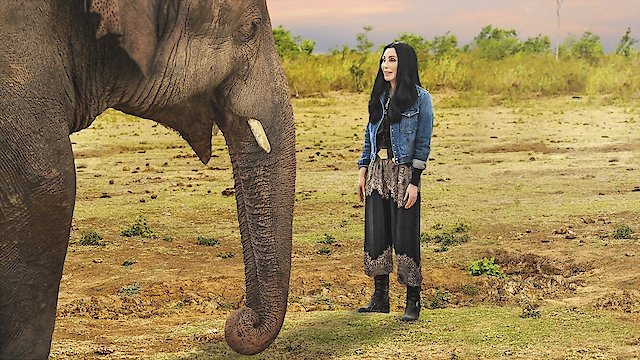 Watch Cher & The Loneliest Elephant Online