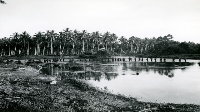 Watch Field of Operations: Guadalcanal Online