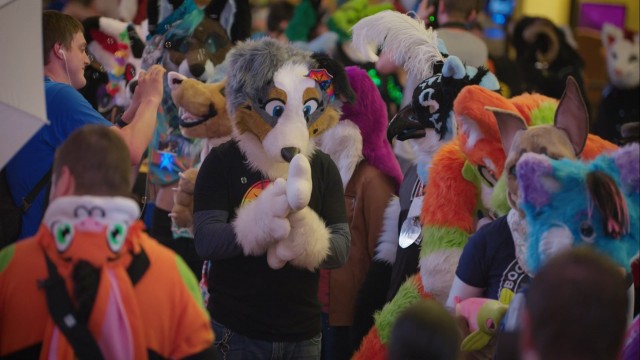 Watch The Fandom Online