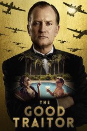 The Good Traitor poster