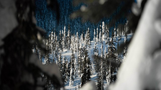 Watch 509 Films: Volume 15 Online