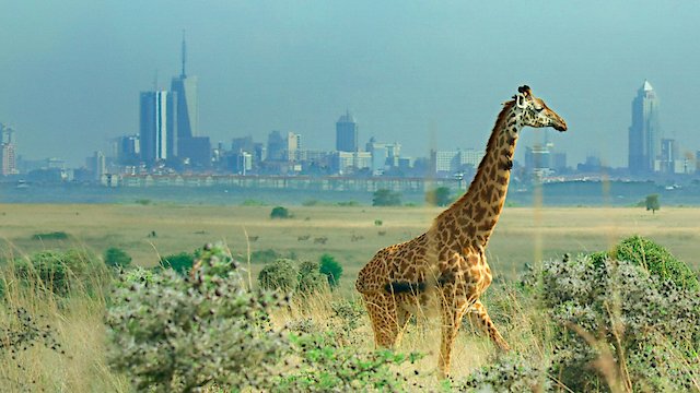 Watch Breaking Boundaries: The Science of Our Planet Online