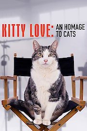 Kitty Love: An Homage to Cats poster