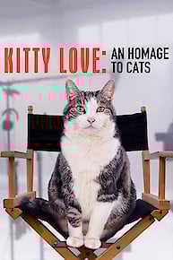 Kitty Love: An Homage to Cats