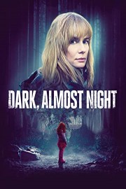 Dark, Almost Night poster