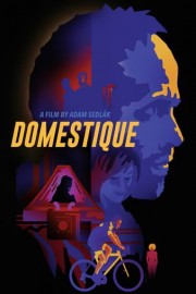 Domestique