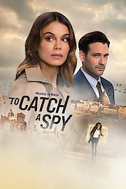 To Catch a Spy poster