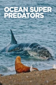 Ocean Super Predators