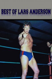 The Best of Lars Anderson poster