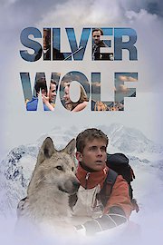 Silver Wolf poster