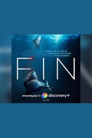 Fin poster