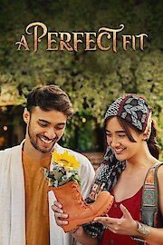 A Perfect Fit poster