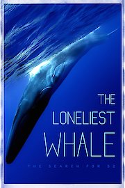 The Loneliest Whale: The Search for 52 poster