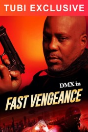 Fast Vengeance poster