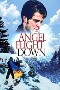 Angel Flight Down