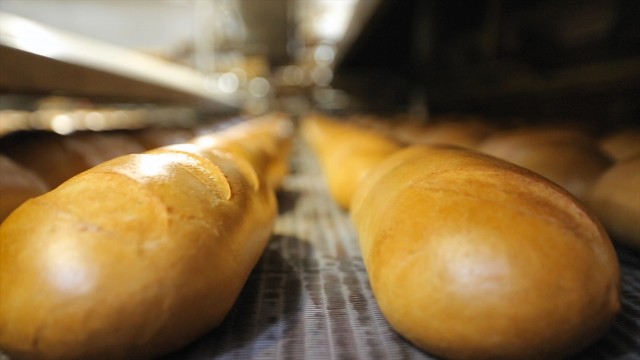 Watch Bread in the Bones Online